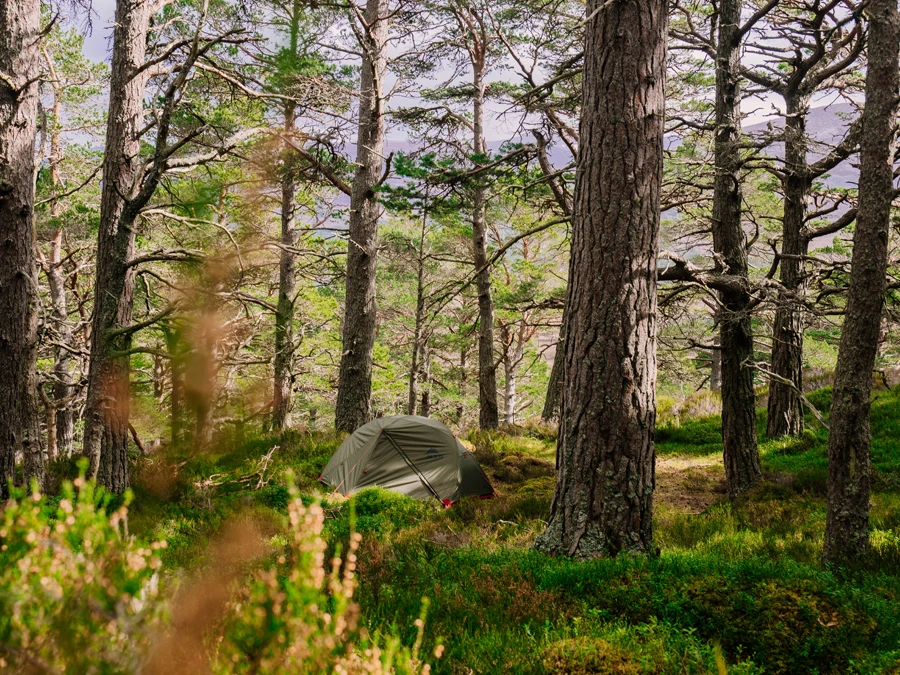 MSR Elixir 3 V2 Tent Backpacking Shelter 12 MSR Elixir 3 V2 Tent Backpacking Shelter - Image 12