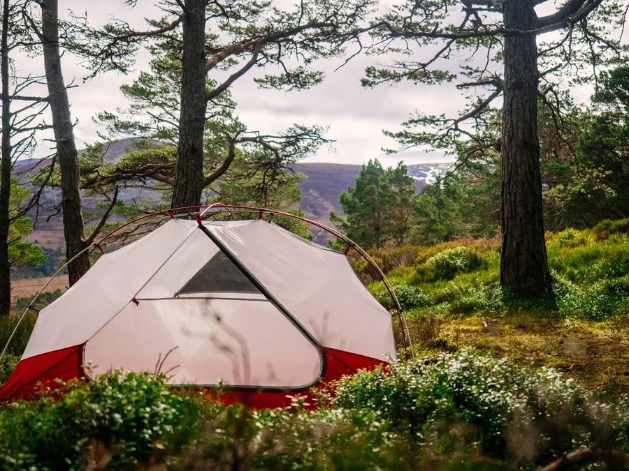 MSR Elixir 3 V2 Tent Backpacking Shelter 13 MSR Elixir 3 V2 Tent Backpacking Shelter - Image 13